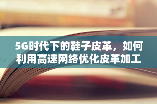 5G时代下的鞋子皮革，如何利用高速网络优化皮革加工与供应链管理？