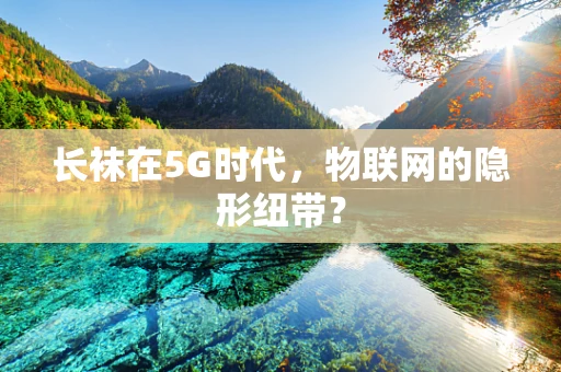 长袜在5G时代，物联网的隐形纽带？