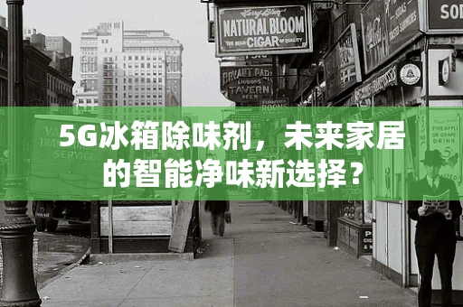 5G冰箱除味剂，未来家居的智能净味新选择？