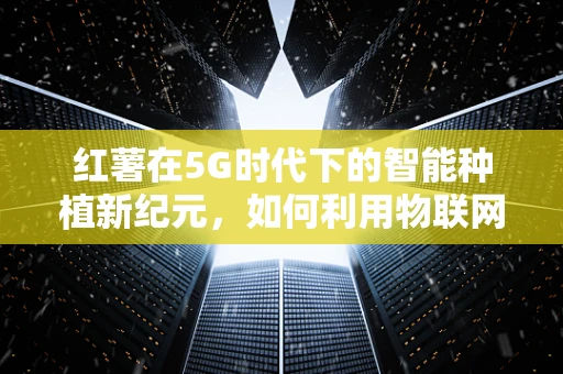 红薯在5G时代下的智能种植新纪元，如何利用物联网技术提升其产量与品质？