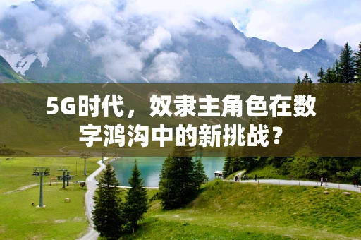 5G时代，奴隶主角色在数字鸿沟中的新挑战？