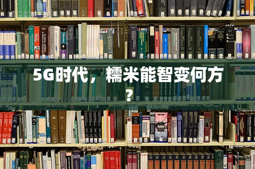 5G时代，糯米能智变何方？