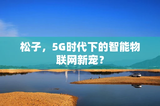 松子，5G时代下的智能物联网新宠？