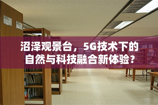 沼泽观景台，5G技术下的自然与科技融合新体验？