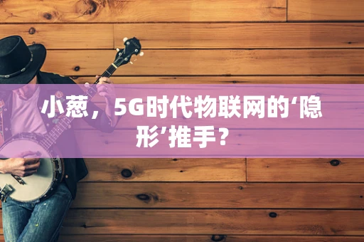 小葱，5G时代物联网的‘隐形’推手？