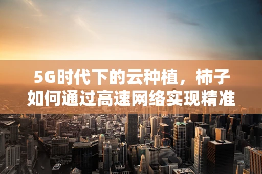 5G时代下的云种植，柿子如何通过高速网络实现精准管理？