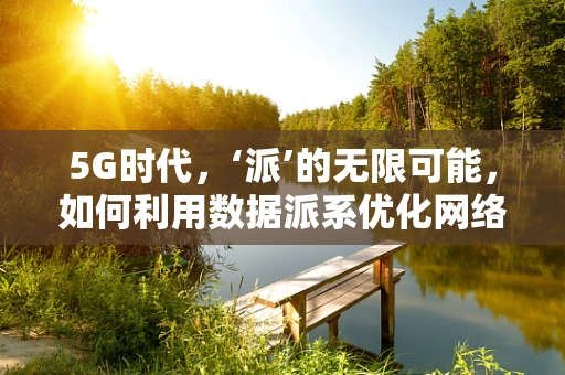 5G时代，‘派’的无限可能，如何利用数据派系优化网络性能？