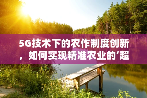 5G技术下的农作制度创新，如何实现精准农业的‘超时空’管理？
