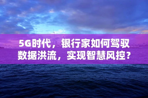 5G时代，银行家如何驾驭数据洪流，实现智慧风控？