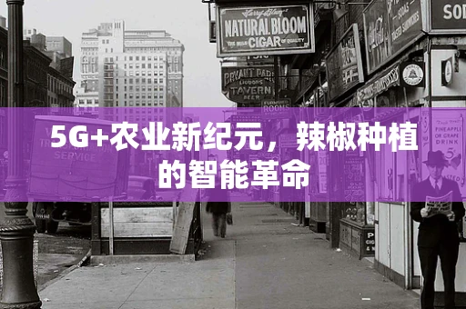 5G+农业新纪元，辣椒种植的智能革命