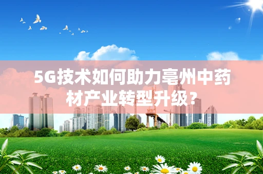 5G技术如何助力亳州中药材产业转型升级？