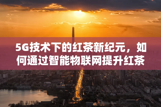 5G技术下的红茶新纪元，如何通过智能物联网提升红茶品鉴体验？