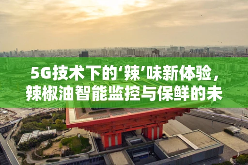5G技术下的‘辣’味新体验，辣椒油智能监控与保鲜的未来？