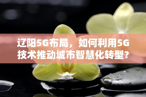 辽阳5G布局，如何利用5G技术推动城市智慧化转型？