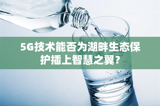 5G技术能否为湖畔生态保护插上智慧之翼？