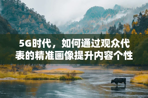 5G时代，如何通过观众代表的精准画像提升内容个性化体验？