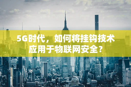 5G时代，如何将挂钩技术应用于物联网安全？