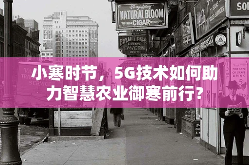 小寒时节，5G技术如何助力智慧农业御寒前行？