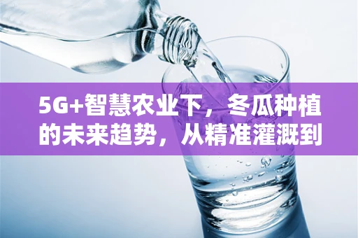 5G+智慧农业下，冬瓜种植的未来趋势，从精准灌溉到智能温控