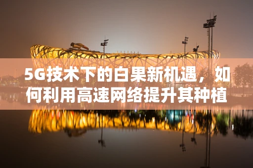 5G技术下的白果新机遇，如何利用高速网络提升其种植与销售效率？