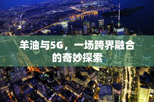 羊油与5G，一场跨界融合的奇妙探索
