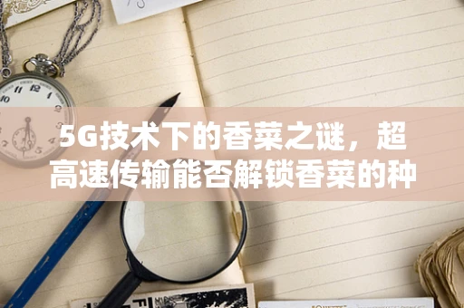 5G技术下的香菜之谜，超高速传输能否解锁香菜的种植新纪元？