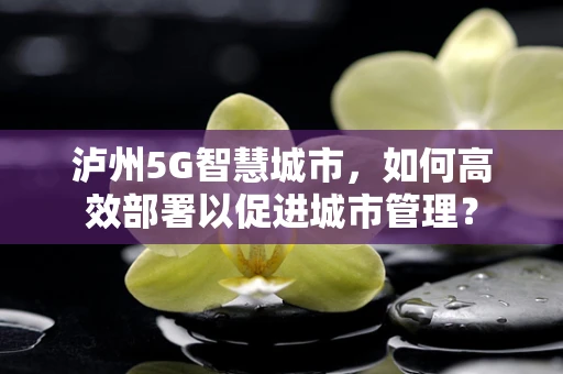 泸州5G智慧城市，如何高效部署以促进城市管理？