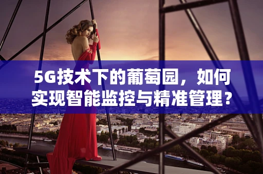 5G技术下的葡萄园，如何实现智能监控与精准管理？