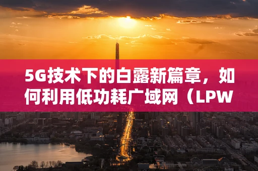 5G技术下的白露新篇章，如何利用低功耗广域网（LPWAN）实现智慧农业的精准灌溉？
