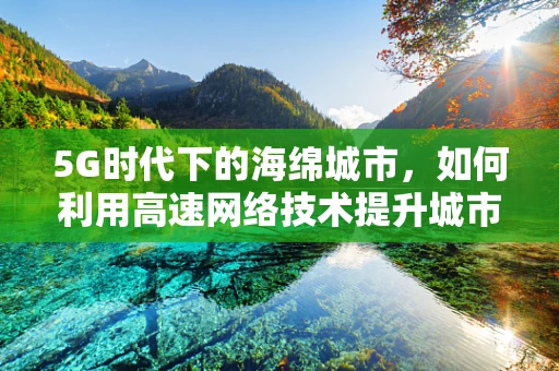 5G时代下的海绵城市，如何利用高速网络技术提升城市排水效率？