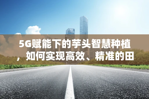 5G赋能下的芋头智慧种植，如何实现高效、精准的田间管理？