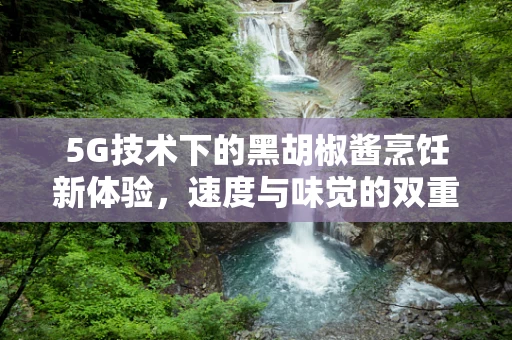 5G技术下的黑胡椒酱烹饪新体验，速度与味觉的双重飞跃