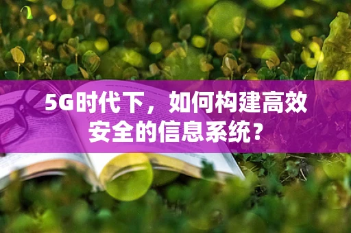 5G时代下，如何构建高效安全的信息系统？