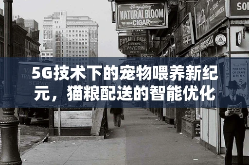 5G技术下的宠物喂养新纪元，猫粮配送的智能优化