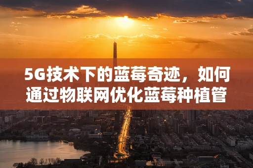 5G技术下的蓝莓奇迹，如何通过物联网优化蓝莓种植管理？