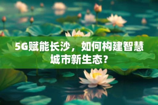 5G赋能长沙，如何构建智慧城市新生态？