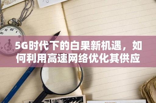 5G时代下的白果新机遇，如何利用高速网络优化其供应链管理？