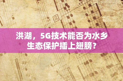 洪湖，5G技术能否为水乡生态保护插上翅膀？
