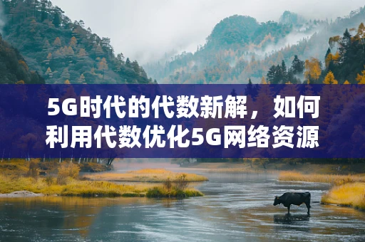 5G时代的代数新解，如何利用代数优化5G网络资源分配？