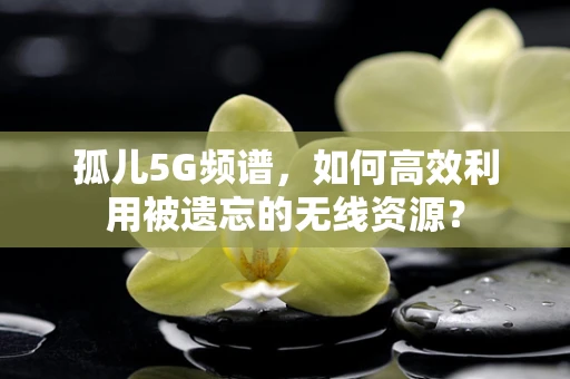 孤儿5G频谱，如何高效利用被遗忘的无线资源？