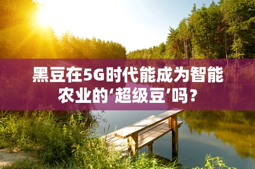 黑豆在5G时代能成为智能农业的‘超级豆’吗？