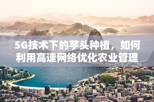 5G技术下的芋头种植，如何利用高速网络优化农业管理？