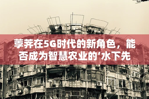 荸荠在5G时代的新角色，能否成为智慧农业的‘水下先锋’？