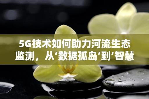 5G技术如何助力河流生态监测，从‘数据孤岛’到‘智慧流域’的跨越