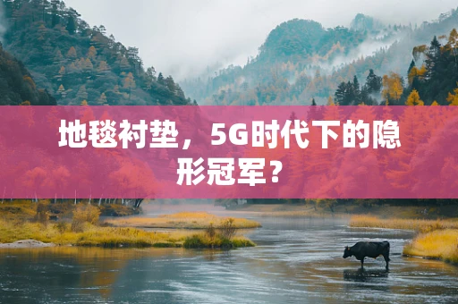 地毯衬垫，5G时代下的隐形冠军？