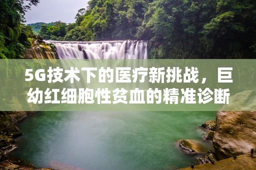5G技术下的医疗新挑战，巨幼红细胞性贫血的精准诊断与治疗