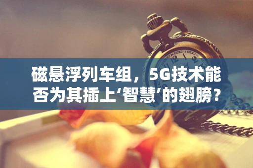 磁悬浮列车组，5G技术能否为其插上‘智慧’的翅膀？