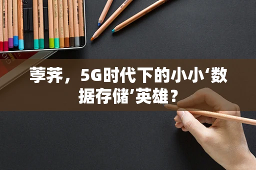 荸荠，5G时代下的小小‘数据存储’英雄？