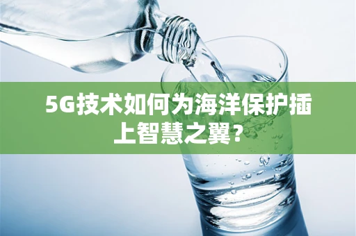 5G技术如何为海洋保护插上智慧之翼？