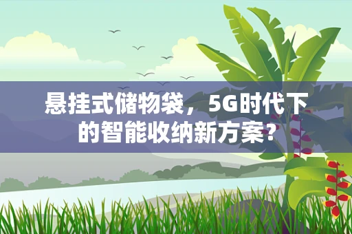 悬挂式储物袋，5G时代下的智能收纳新方案？